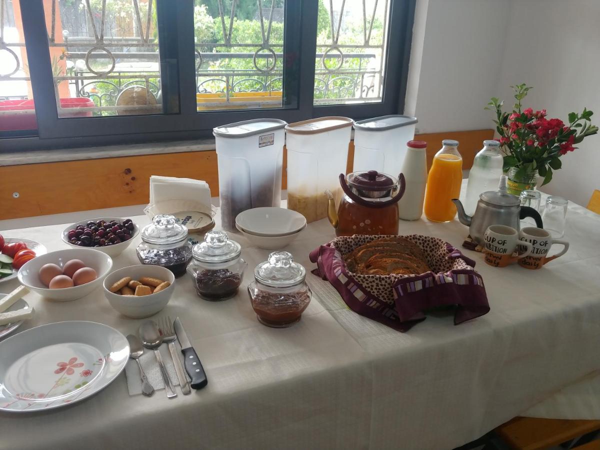 Green Garden Guesthouse Shkodër 외부 사진