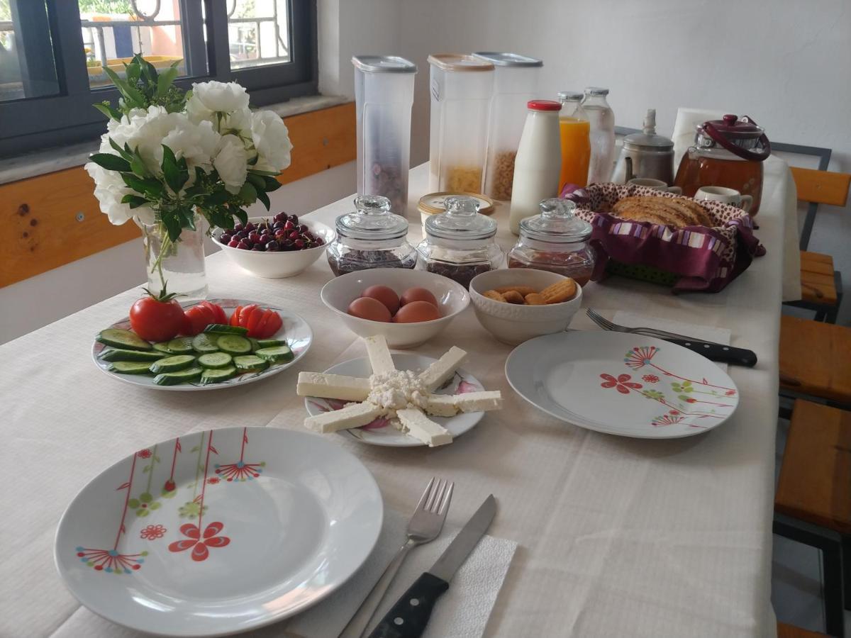 Green Garden Guesthouse Shkodër 외부 사진